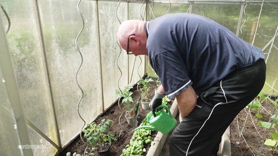 Herr Hecht aus Neubrandenburg gießt Pflanzen in seinem Gewächshaus. © Screenshot 